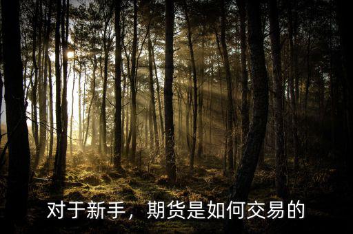 對(duì)于新手，期貨是如何交易的