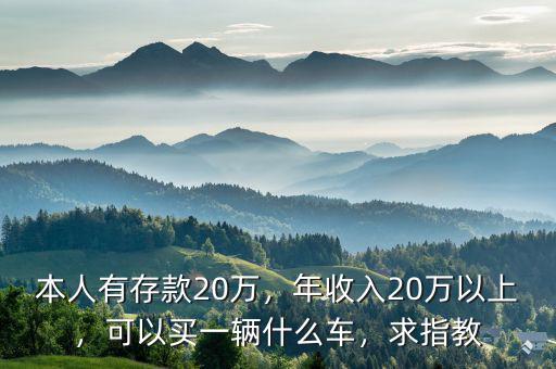 本人有存款20萬，年收入20萬以上，可以買一輛什么車，求指教