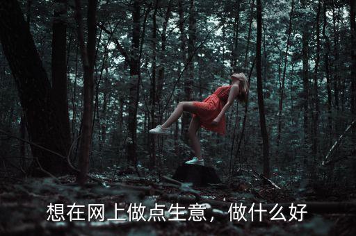想在網(wǎng)上做點(diǎn)生意，做什么好