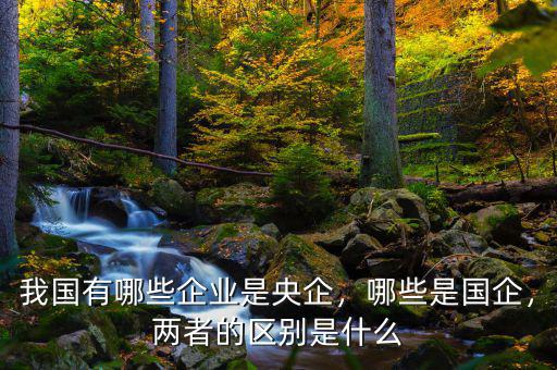 我國有哪些企業(yè)是央企，哪些是國企，兩者的區(qū)別是什么