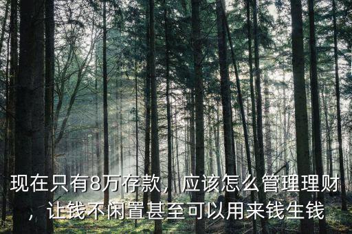 現(xiàn)在只有8萬存款，應(yīng)該怎么管理理財(cái)，讓錢不閑置甚至可以用來錢生錢