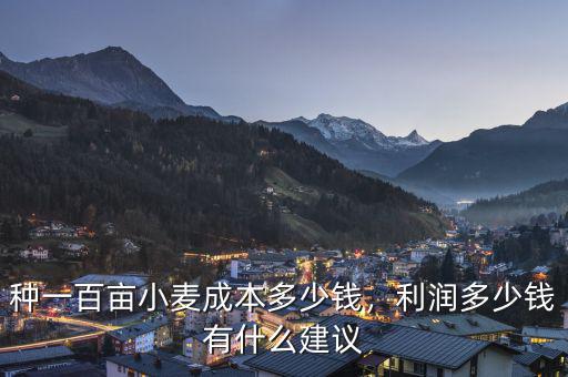 種一百畝小麥成本多少錢，利潤多少錢有什么建議