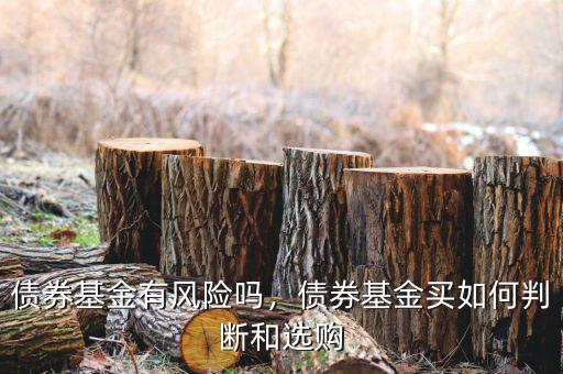 債券基金有風(fēng)險嗎，債券基金買如何判斷和選購