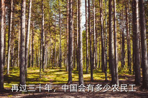 再過三十年，中國會有多少農(nóng)民工