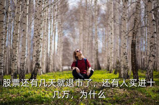 股票還有幾天就退市了，還有人買進十幾萬，為什么