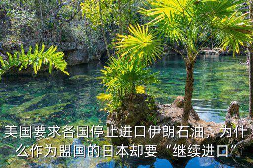 美國(guó)要求各國(guó)停止進(jìn)口伊朗石油，為什么作為盟國(guó)的日本卻要“繼續(xù)進(jìn)口”