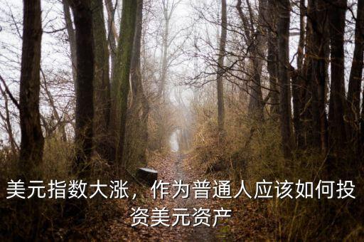 美元指數(shù)大漲，作為普通人應(yīng)該如何投資美元資產(chǎn)