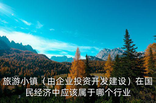 旅游小鎮(zhèn)（由企業(yè)投資開發(fā)建設(shè)）在國(guó)民經(jīng)濟(jì)中應(yīng)該屬于哪個(gè)行業(yè)