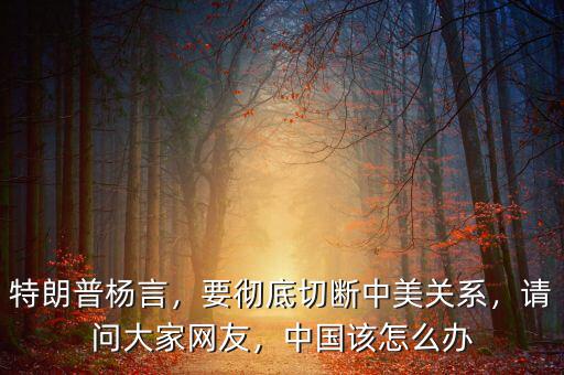 特朗普楊言，要徹底切斷中美關(guān)系，請(qǐng)問(wèn)大家網(wǎng)友，中國(guó)該怎么辦