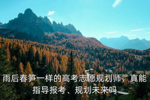 雨后春筍一樣的高考志愿規(guī)劃師，真能指導(dǎo)報(bào)考、規(guī)劃未來(lái)嗎
