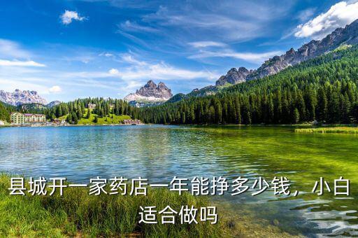 縣城開一家藥店一年能掙多少錢，小白適合做嗎