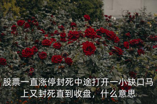 股票一直漲停封死中途打開(kāi)一小缺口馬上又封死直到收盤(pán)，什么意思