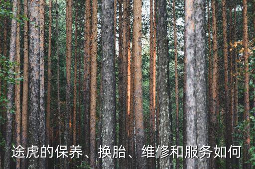 途虎的保養(yǎng)、換胎、維修和服務(wù)如何