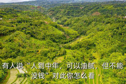 有人說“人到中年，可以油膩，但不能沒錢”對此你怎么看