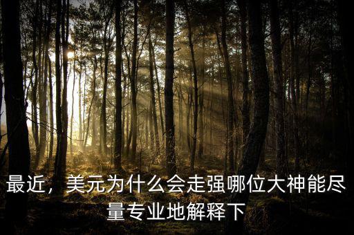 最近，美元為什么會(huì)走強(qiáng)哪位大神能盡量專(zhuān)業(yè)地解釋下