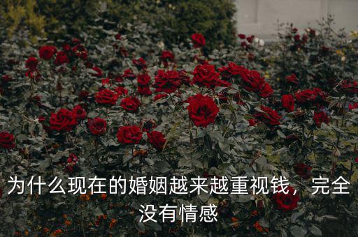 為什么現(xiàn)在的婚姻越來(lái)越重視錢(qián)，完全沒(méi)有情感