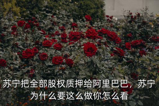 蘇寧把全部股權(quán)質(zhì)押給阿里巴巴，蘇寧為什么要這么做你怎么看