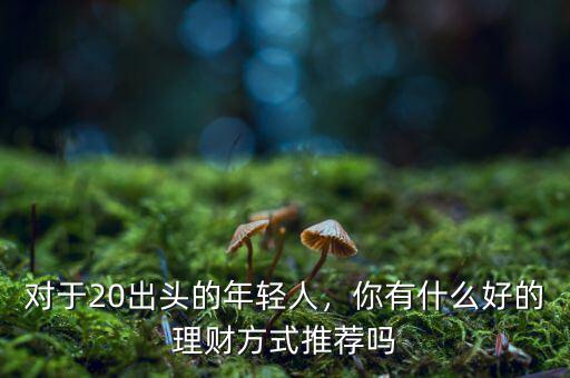 對(duì)于20出頭的年輕人，你有什么好的理財(cái)方式推薦嗎