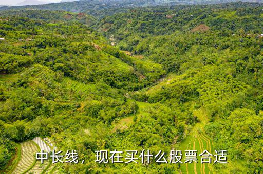 中長(zhǎng)線，現(xiàn)在買什么股票合適