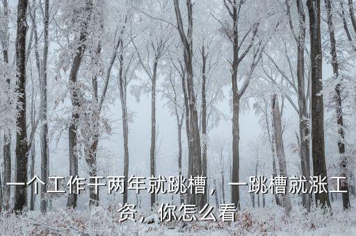 一個(gè)工作干兩年就跳槽，一跳槽就漲工資，你怎么看