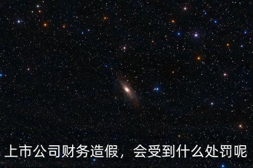 上市公司財務(wù)造假，會受到什么處罰呢