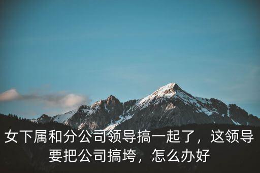 女下屬和分公司領(lǐng)導(dǎo)搞一起了，這領(lǐng)導(dǎo)要把公司搞垮，怎么辦好