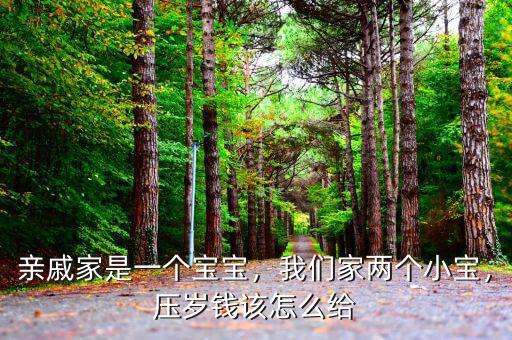 親戚家是一個寶寶，我們家兩個小寶，壓歲錢該怎么給