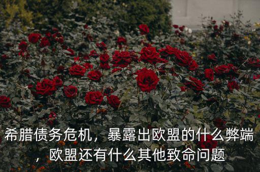 希臘債務(wù)危機，暴露出歐盟的什么弊端，歐盟還有什么其他致命問題