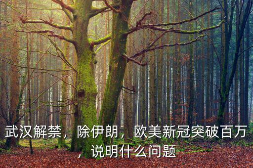 武漢解禁，除伊朗，歐美新冠突破百萬，說明什么問題