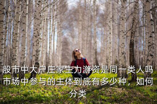 股市中大戶莊家主力游資是同一類人嗎市場(chǎng)中參與的主體到底有多少種，如何分類