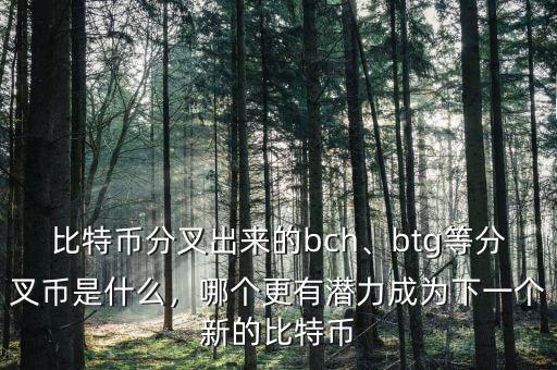 比特幣分叉出來的bch、btg等分叉幣是什么，哪個更有潛力成為下一個新的比特幣