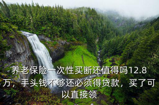 養(yǎng)老保險一次性買斷還值得嗎12.8萬，手頭錢不夠還必須得貸款，買了可以直接領(lǐng)