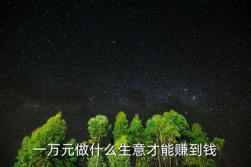 一萬(wàn)元做什么生意才能賺到錢(qián)