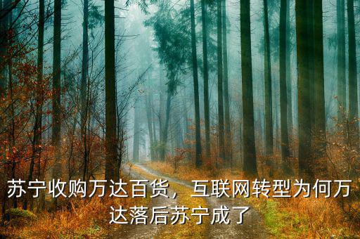 蘇寧收購萬達百貨，互聯(lián)網(wǎng)轉(zhuǎn)型為何萬達落后蘇寧成了