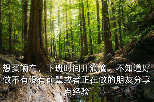 想買輛車，下班時間開滴滴，不知道好做不有沒有前輩或者正在做的朋友分享點(diǎn)經(jīng)驗(yàn)