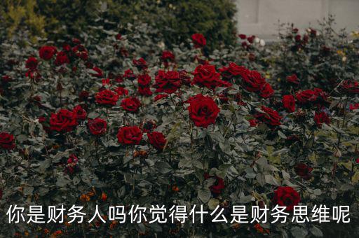 什么是會(huì)計(jì)思維,什么是財(cái)務(wù)思維