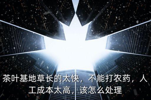茶葉基地草長的太快，不能打農(nóng)藥，人工成本太高，該怎么處理