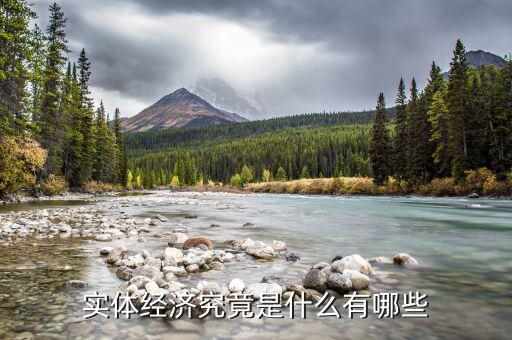 什么是服務(wù)實體經(jīng)濟(jì),實體經(jīng)濟(jì)究竟是什么