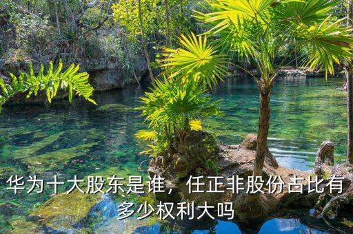 華為十大股東是誰，任正非股份占比有多少權(quán)利大嗎