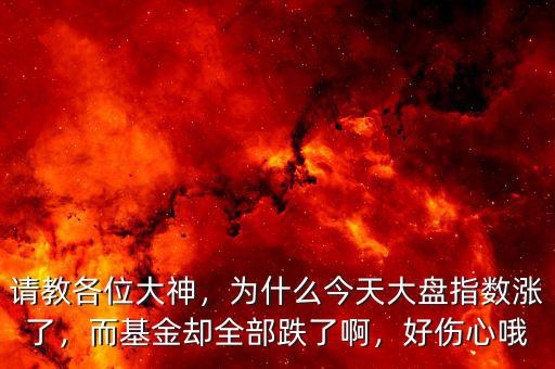 請(qǐng)教各位大神，為什么今天大盤指數(shù)漲了，而基金卻全部跌了啊，好傷心哦