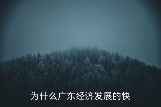 為什么廣東經濟發(fā)展的快