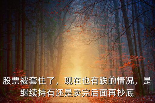 股票被套住了，現(xiàn)在也有跌的情況，是繼續(xù)持有還是賣完后面再抄底