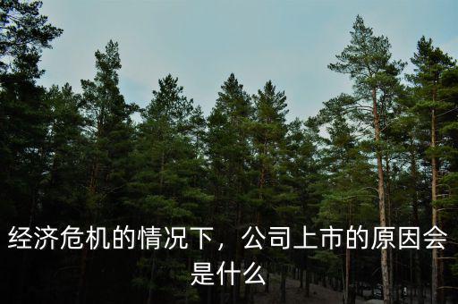 經(jīng)濟(jì)危機(jī)的情況下，公司上市的原因會是什么