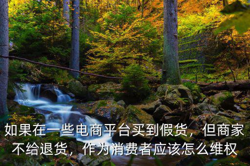 如果在一些電商平臺買到假貨，但商家不給退貨，作為消費者應(yīng)該怎么維權(quán)