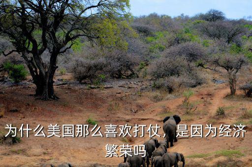 為什么美國那么喜歡打仗，是因為經(jīng)濟繁榮嗎
