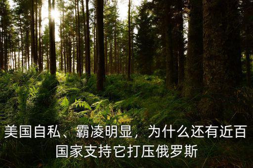 美國自私、霸凌明顯，為什么還有近百國家支持它打壓俄羅斯