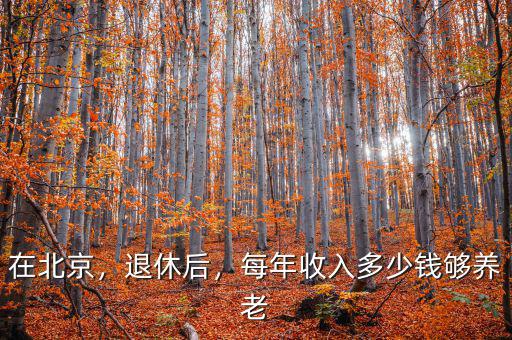 在北京，退休后，每年收入多少錢夠養(yǎng)老