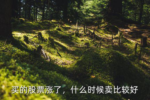 買的股票漲了，什么時候賣比較好