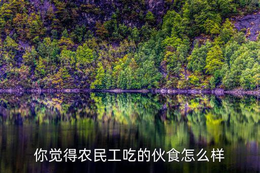 你覺得農民工吃的伙食怎么樣