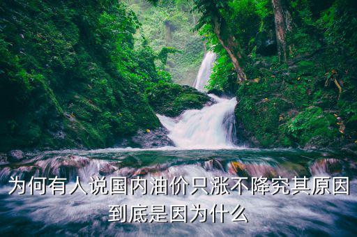 為什么中國油價不降,為何有人說國內(nèi)油價只漲不降